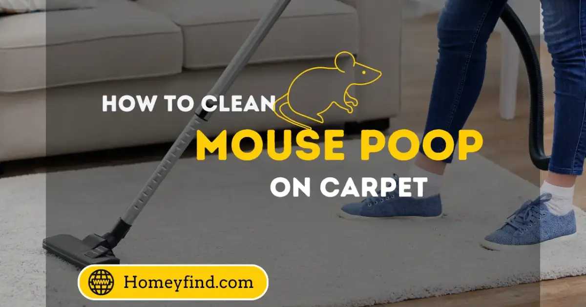 How to Clean Up Mouse Poop on Carpet