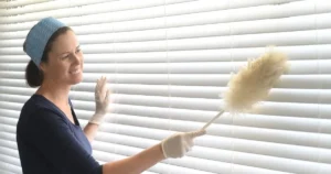 How to Clean Window Blinds