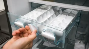 Regular Ice Maker Cleaning