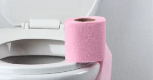 Toilet Paper Under Toilet Seat