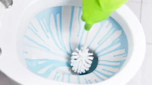 Step-by-Step Fix_ How to Remove Toilet Bowl Scratches