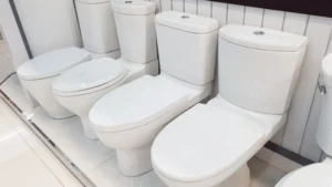 Types of Toilet Bowl Materials