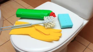 tools need for cleaning Toilet Bowl