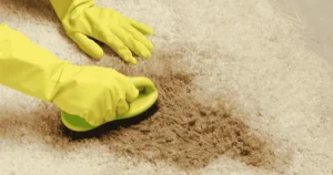 Clean Vomit from Carpet