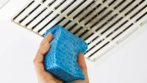 Process for cleaning bathroom fan