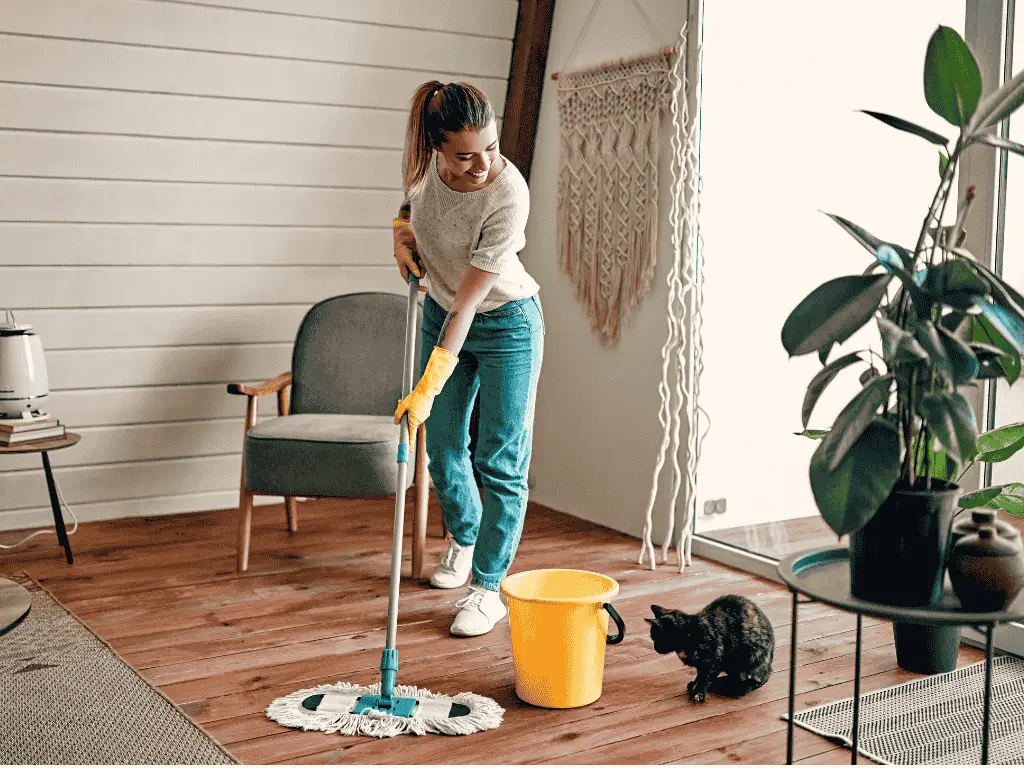 House Cleaning USA