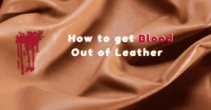 How to get Blood Out of Leather