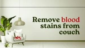 Remove blood stains from couch