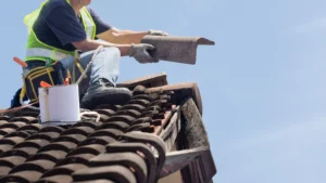 Professional Roof Cleaning Services & Roof Cleaning Cost