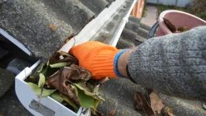 Roof Cleaning Hacks