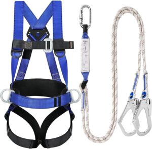 Roof Safety Harness